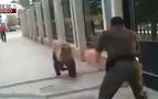 Kaçmak isteyen ayıyı vatandaşlar kıskıvrak yakaladı