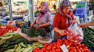 5 soruda Türkiye ile Rusya arasında bitmeyen 'domates' savaşı