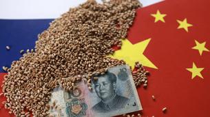 Çin'in Rusya'dan Buğday İthalatı Eylül'de Rekor Seviyeye Ulaştı