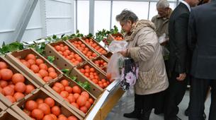 Türkiye'ye gıda ambargosu Rusya’da enflasyonu bir haftada iki katına çıkardı