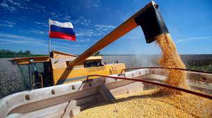 Kremlin’den Tahıl Anlaşması açıklaması: Herhangi bir ön koşul yok