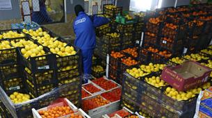 Rusya'ya meyve ve sebze ihracatında analiz kolaylığı geliyor