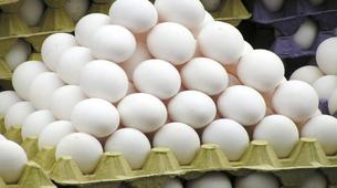 Rusya artan fiyatları dengelemek için Türk yumurtasına izin verdi