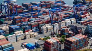 Rusya Paralel İthalat Listesini Güncelledi