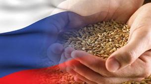 Rusya petrol ve doğalgazdan sonra en çok geliri gıdadan kazanıyor