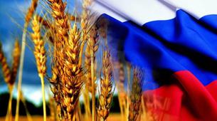 Rusya tahıl ihracat rekorlarını yeniledi, Türkiye ilk sırada