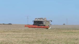 Rusya’da tahıl hasadında rekor: 147 milyon ton