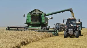 Rusya’da tahıl hasadında yeni rekor beklentisi