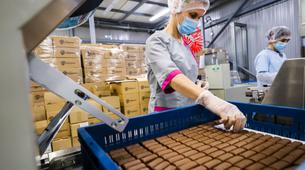 Rusya'nın Çikolata İhracatı Tarihi Zirvede: 1 Milyar Dolara Dayandı