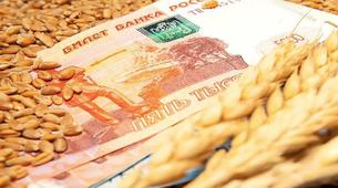 Rusya'nın Tarım Ürünleri İhracatı 43 Milyar Dolara Ulaştı