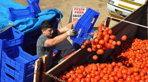 Rus ambargosunun meyve sebze ihracatına faturası 300 milyon dolar