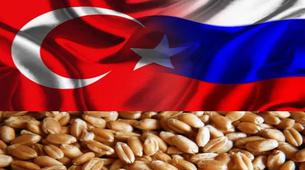 Türkiye’ye Rus Tahıl İhracatı %86 Artışla Rekor Kırdı