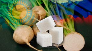 Kazakistan Rusya'dan Gıda Alımlarını Rekor Seviyede Artırdı