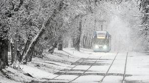 Moskova Beyaza Büründü