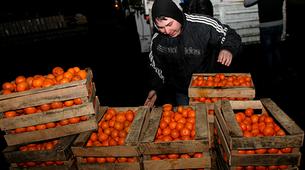 Rusya 20 ton mandalinayı Türkiye’ye geri gönderdi