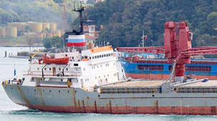 Suriye'ye Rus silahı taşıyan yük gemisi Türkiye'den satın alınmış