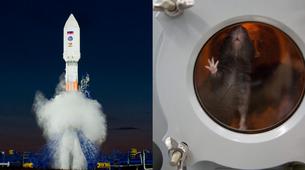 Rusya, Ay ve Mars Misyonları İçin Tarihi Biyon Uydusunu Uzaya Gönderdi