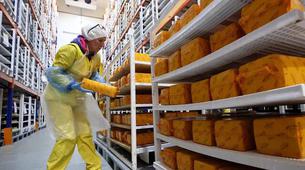 Rusya Kaşar İhracatında Rekor Kırdı