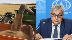 Rusya: Türkiye ve Katar ortak tahıl girişimini kabul etti