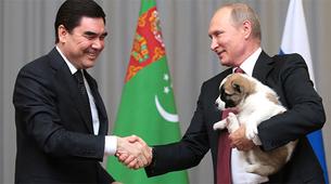 Türkmenistan lideri Putin'e 'alabay' çoban köpeği hediye etti