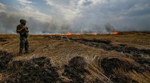 Ukrayna Ordusu Rus Taarruz Korkusuyla Ormanları Yakıyor