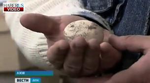 Rusya’da 600 yıllık yumurta bulundu