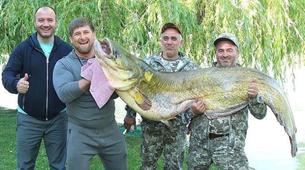 Kadirov 75 kilogramlık dev sombalığı yakaladı