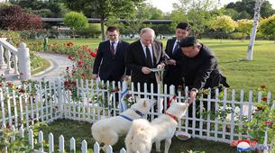 Kim, Putin’e  Kore cinsi av köpeği hediye etti