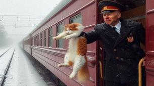 Rusya Demiryolları, Banliyö Trenlerinden Hayvanların İndirilmesini Yasaklayacak