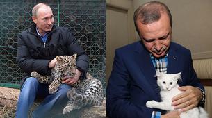 Der Spiegel: Erdoğan ve Putin, Maço Maçoyu yendi