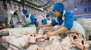 Moskova’da 27 ton Türk tavuk kıymasına el konuldu