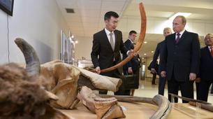 Putin, 28 bin yaşındaki Mamut’un klonlanmasını istedi