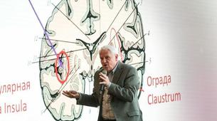 Bilim Tarihinde Bir İlk: Dondurulmuş Beyin Dokusu 'Canlandırıldı'