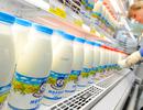 Rusya, Türkiye’ye 'Süt Ürünleri' ve 'Damızlık At' satacak!