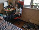 Rusya’da işverenlere çalışanları 'evden' çalıştırma kararı
