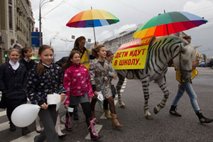 Zebra gibi boyanan atlarla Moskova'da trafik dersi