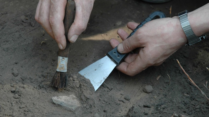 Moğolistan’da Yeni Kuş Benzeri Dinozor Türü Keşfi