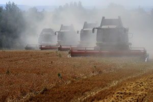 Rusya son on yılın en kurak mevsimini geçirdi, üretimde ciddi kayıp var