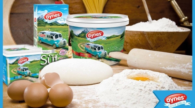 Rusya’ya ilk süt ihracatını gerçekleştiren Türk firması Aynes, iflas erteleme istedi