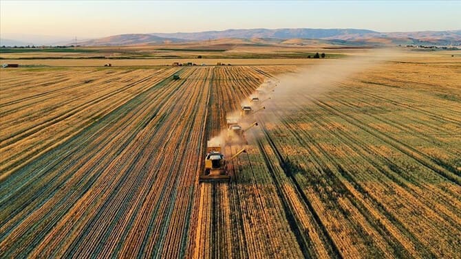 Ambargolar Sonrası Rusya, Tarım Ürünleri İhracatını 2.7 Kat Artırdı