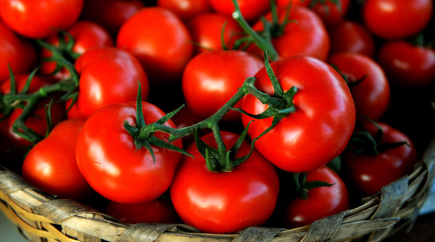 Rusya, 25 ton domatesi Türkiye’ye geri gönderdi