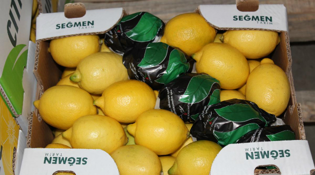 Rusya gerilimi limonu vurdu