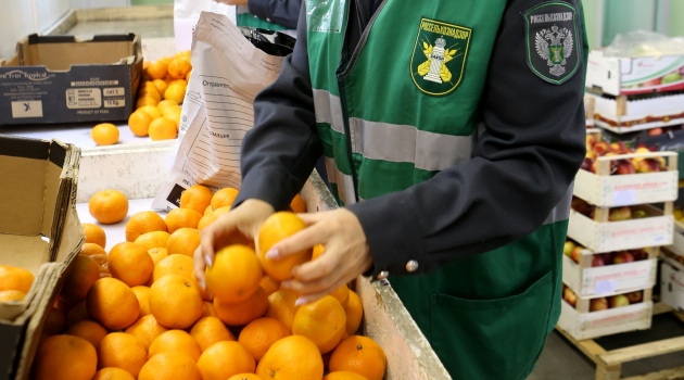 Rusya 24 ton mandalina daha Türkiye’ye iade etti