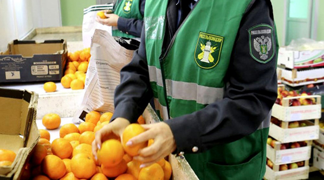 Rusya, Kırgızistan’dan gönderilen meyve ve sebzeleri gümrük kontrolsüz alacak