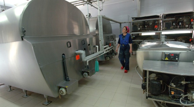 Ruslar Karaman'a süt fabrikası kuracak