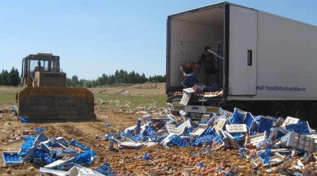 Rusya sahte “Türkiye” sertifikalı 3 ton meyveyi imha etti