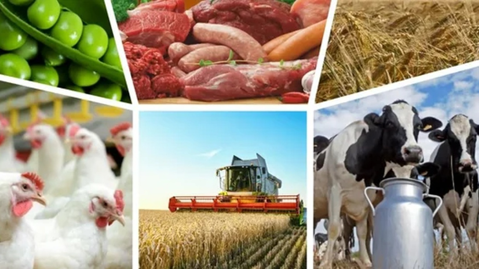 Rusya, 170 Ülkeye Tarım Ürünleri İhracatı Yapıyor