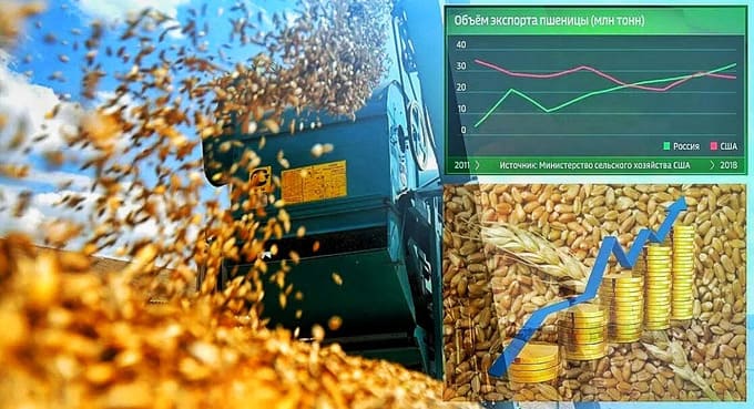 Rusya kısıtlamalara rağmen 41 milyar USD’lik tarım ürünü ihracatı yaptı
