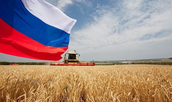 Rusya, makarnalık buğday ihracatını yasakladı
