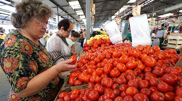 Rusya Tarım Bakanı: Türk domatesine izin vermeyeceğiz